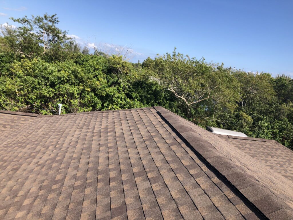 shingle
