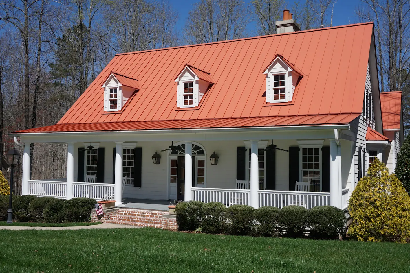 eagle metal roof